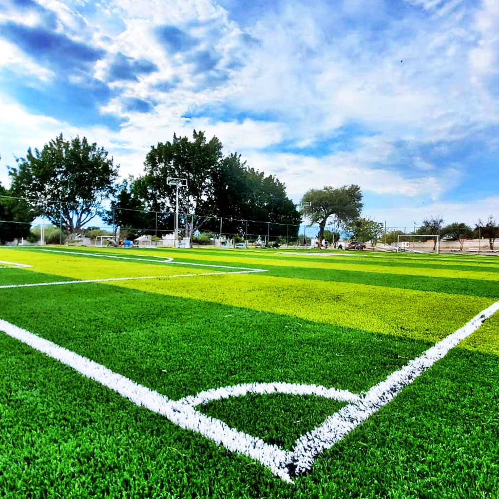 UNIDAD-DEPORTIVA-ERNESTO-CANTO-SAN-LUIS-POTOSI-PASTO-SINTETICO